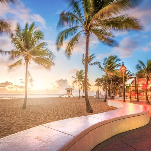 floridian dreams fragrance oil