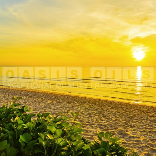 island fresh breeze fragrance oil