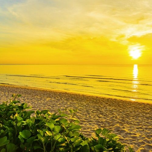 Island Fresh Breeze Fragrance Oil