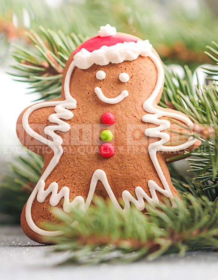 gingerbread fragrance oil