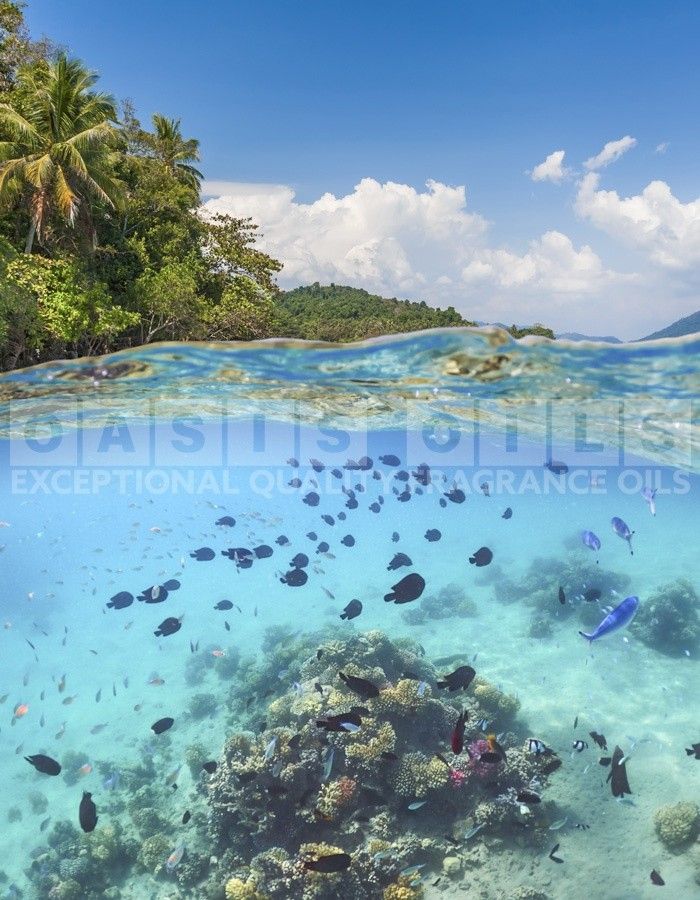 marine garden fragrance oil