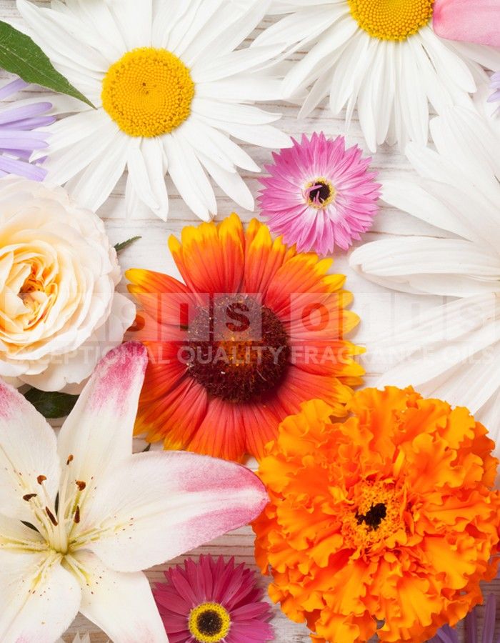 orange blossom bouquet fragrance oil