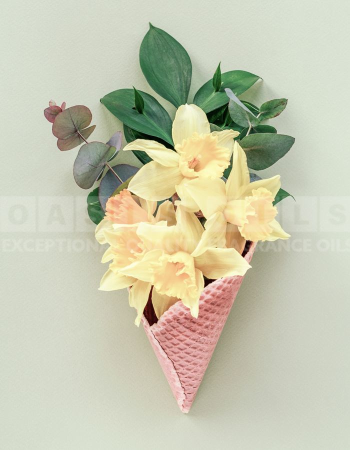 daffodil vanilla flower