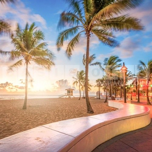 floridian dreams fragrance oil