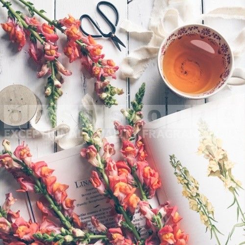 snap dragon patchouli fragrance oil