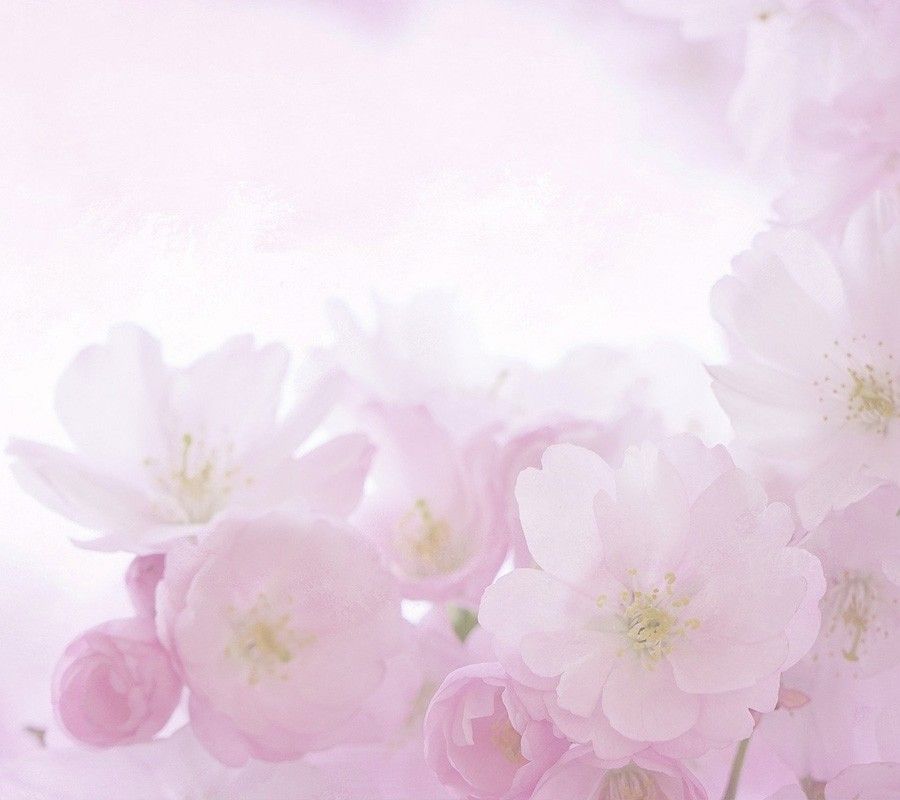 Happiest Fragrance Oil