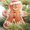 gingerbread fragrance oil