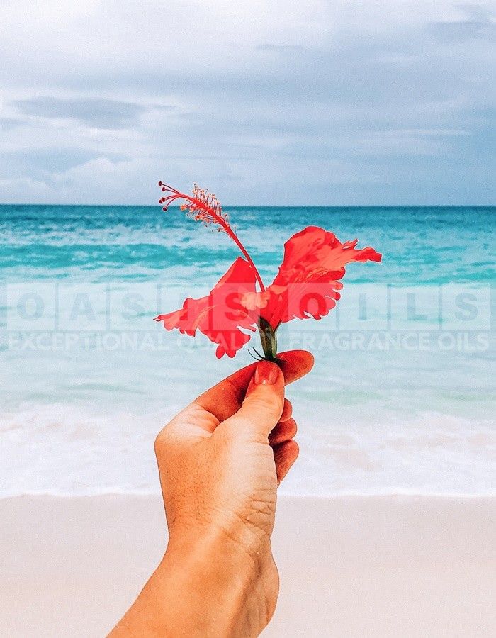 exotic hibiscus fragrance oil