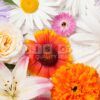 orange blossom bouquet fragrance oil