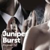 juniper burst fragrance oil