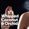 whipped coconut and orchid fragrance oil