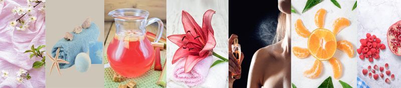 NEW FRAGRANCES MAY 2024