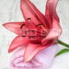 moonlight lily fragrance oil product