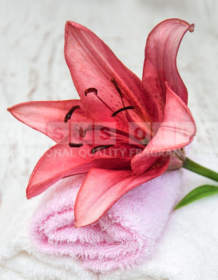moonlight lily fragrance oil product