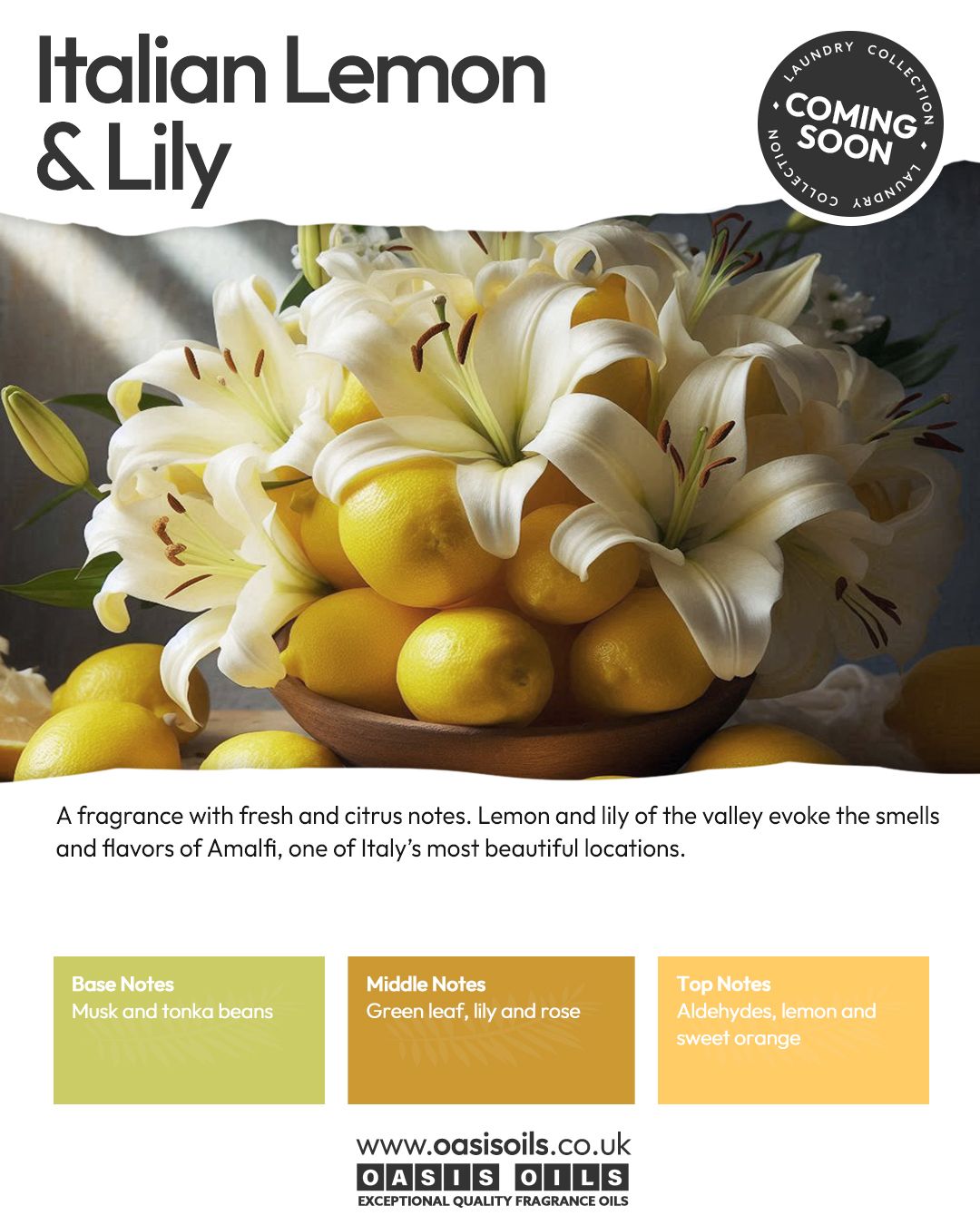 italian lemon lily COMING SOON