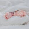 fairy laundry fragrance oil