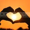 intense sunburst fragrance oil