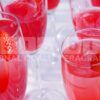 rhubarb gin fragrance oil
