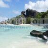 seychelles paradise fragrance oil
