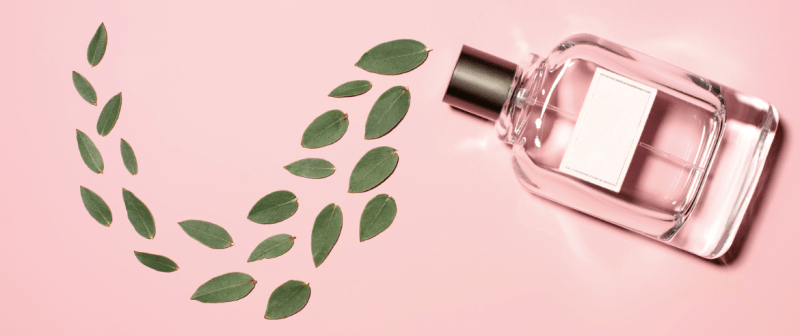 New Fragrance Oils