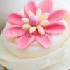 sugar rush fragrance oil