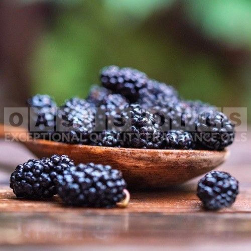 mulberry thyme fragrance oil