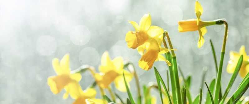 News March 2021