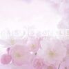 happiest fragrance oil