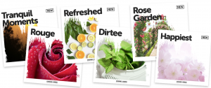 New Fragrance Oils