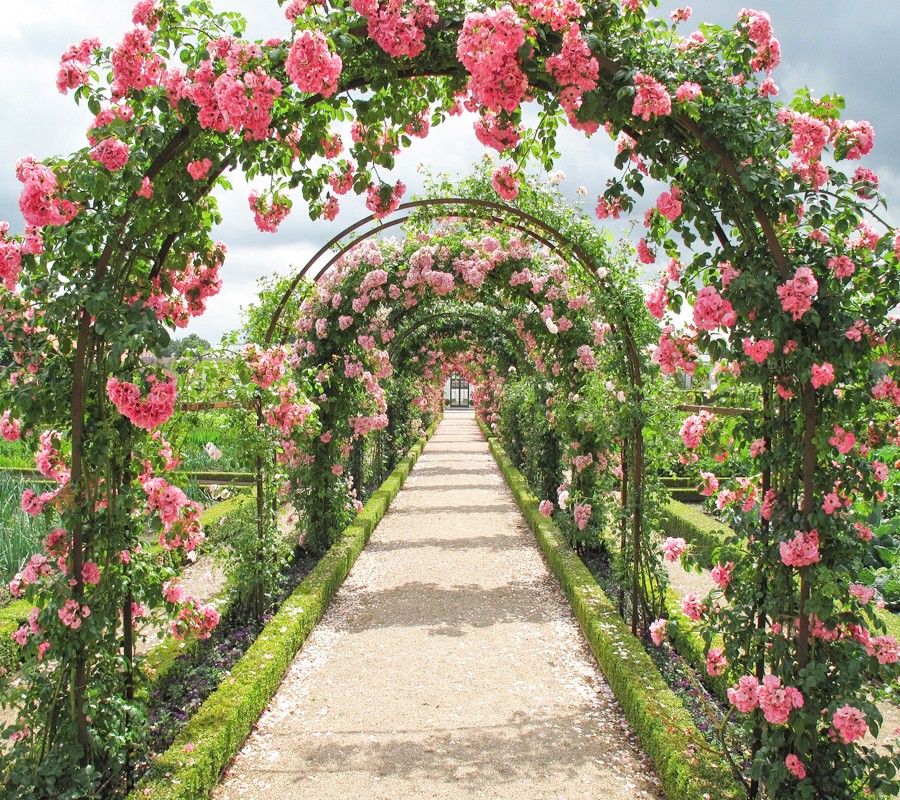 Rose Garden Fragrance Oil