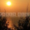 Tranquil Moments Fragrance Oil