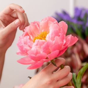 Floral Scents