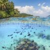 marine garden fragrance oil