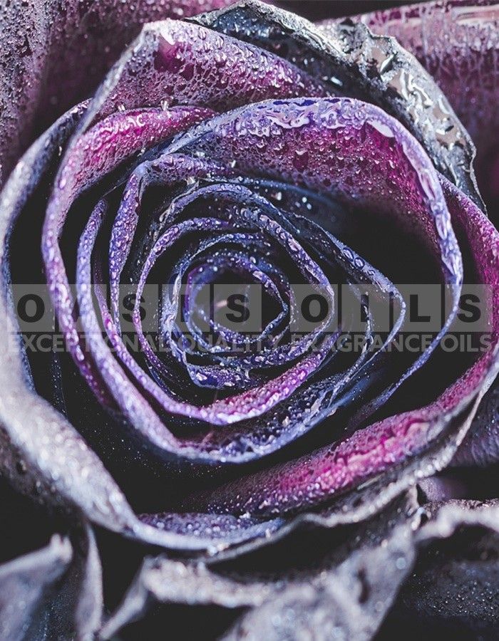 ROSY CASSIS FRAGRANCE OIL
