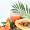 tropical rainforest fragrance oil