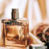 orange bergamot fragrance oil