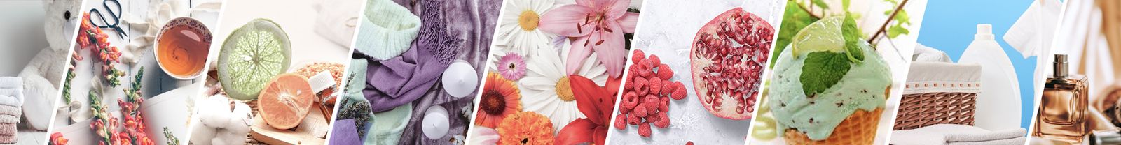clp banner