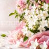 dreamy jasmine